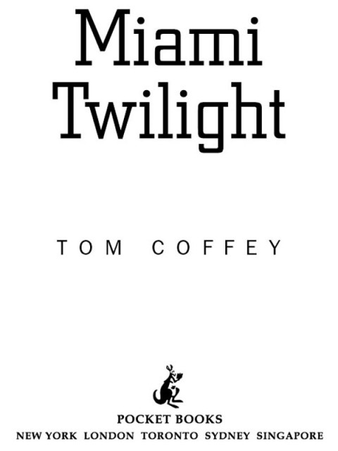 Cover image for book Miami Twilight