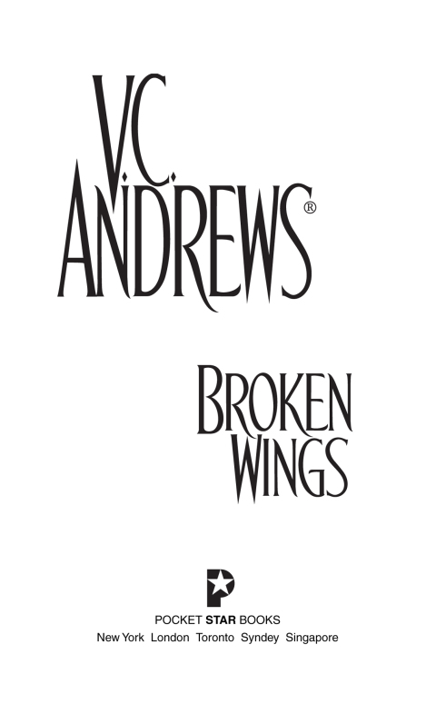 Cover image for book Broken Wings