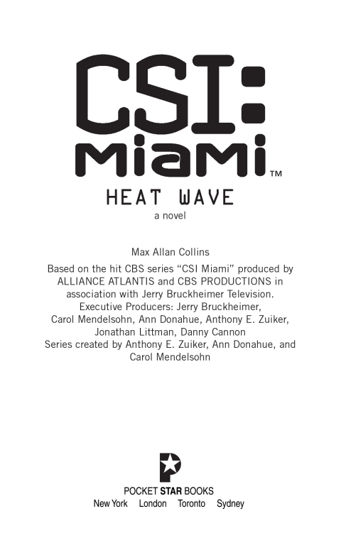 Cover image for book Heat Wave