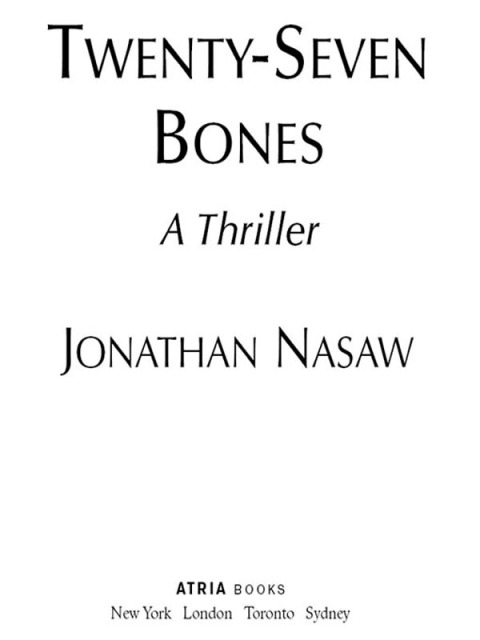 Cover image for book Twenty-Seven Bones
