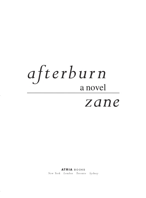 Cover image for book Afterburn