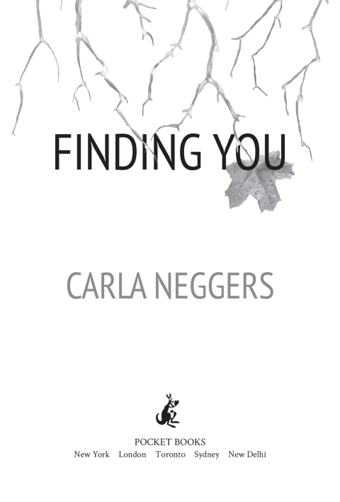Cover image for book Finding You