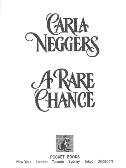 Cover image for book A Rare Chance