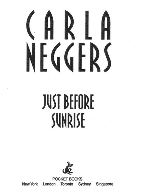 Cover image for book Just Before Sunrise