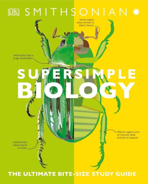 Cover image for book SuperSimple Biology