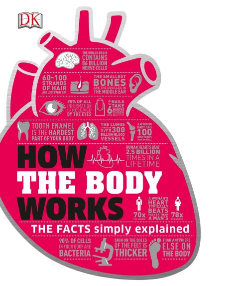 Cover image for book How the Body Works