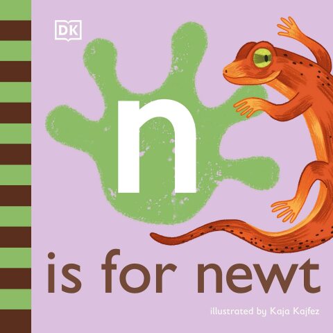 Cover image for book N is for Newt