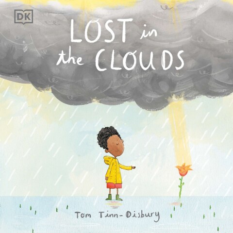 Cover image for book Lost in the Clouds