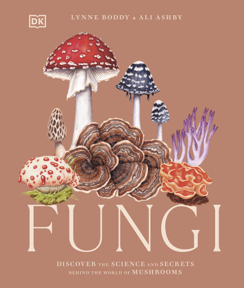 Cover image for book Fungi