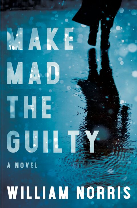 Cover image for book Make Mad the Guilty