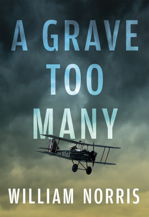Cover image for book A Grave Too Many