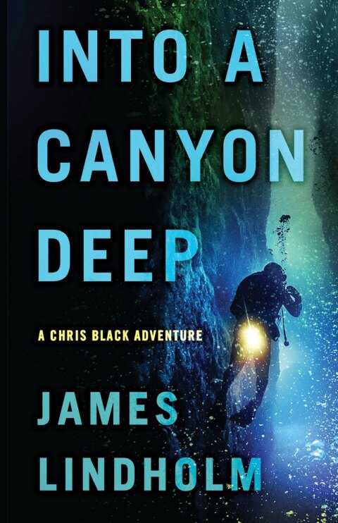 Cover image for book Into A Canyon Deep