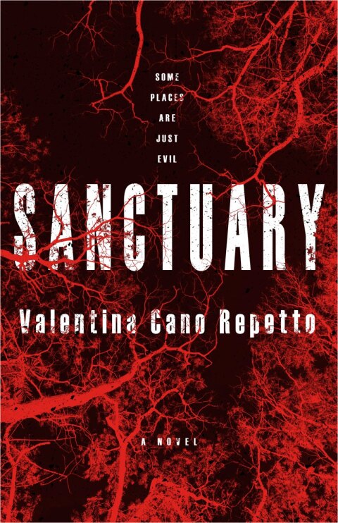 Cover image for book Sanctuary