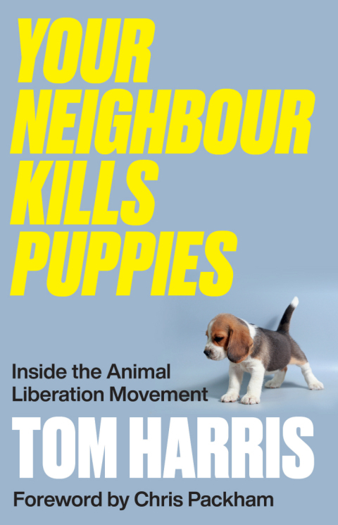Your Neighbour Kills Puppies 