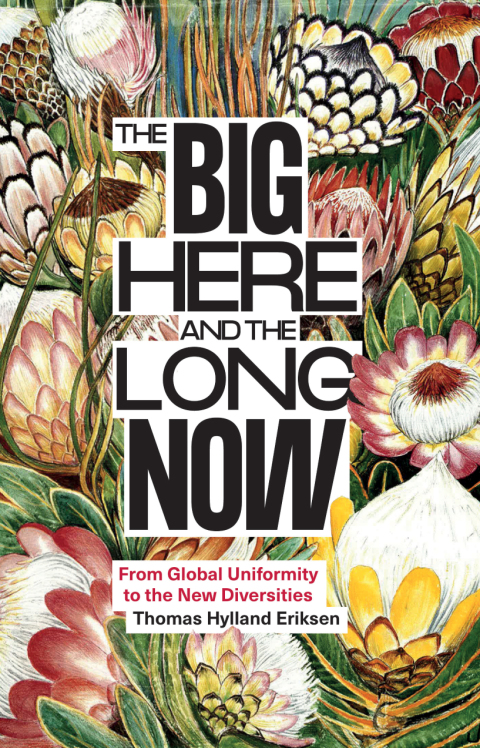 Cover image for book The Big Here and the Long Now