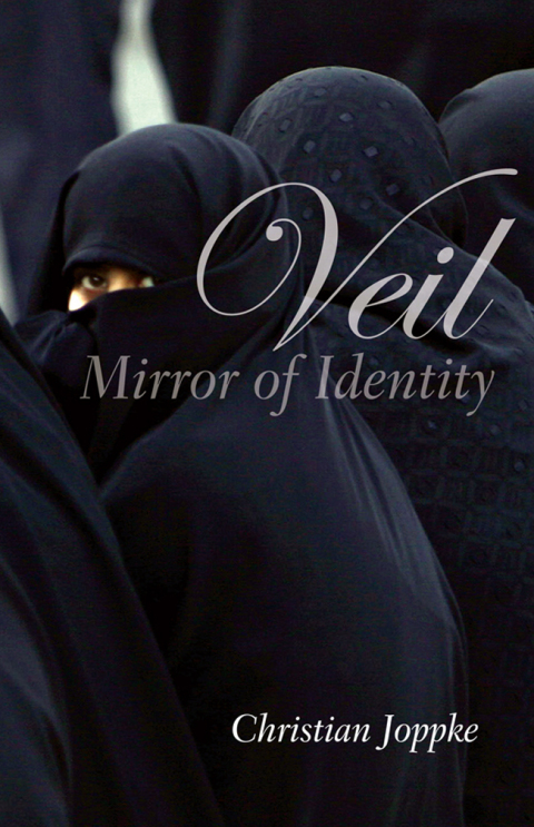 Cover image for book Veil