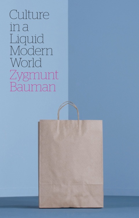Culture in a Liquid Modern World 