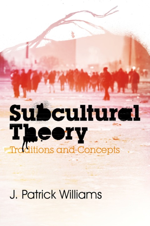 Subcultural Theory: Traditions and Concepts 