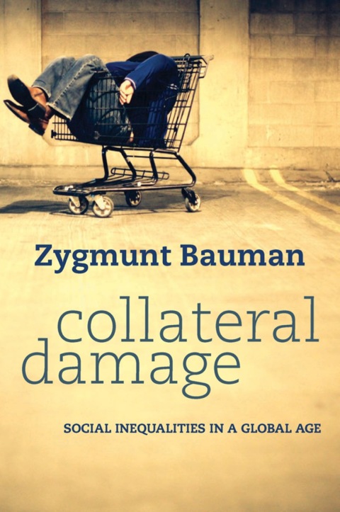 Collateral Damage: Social Inequalities in a Global Age 