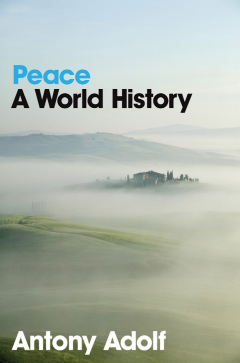 Cover image for book Peace: A World History