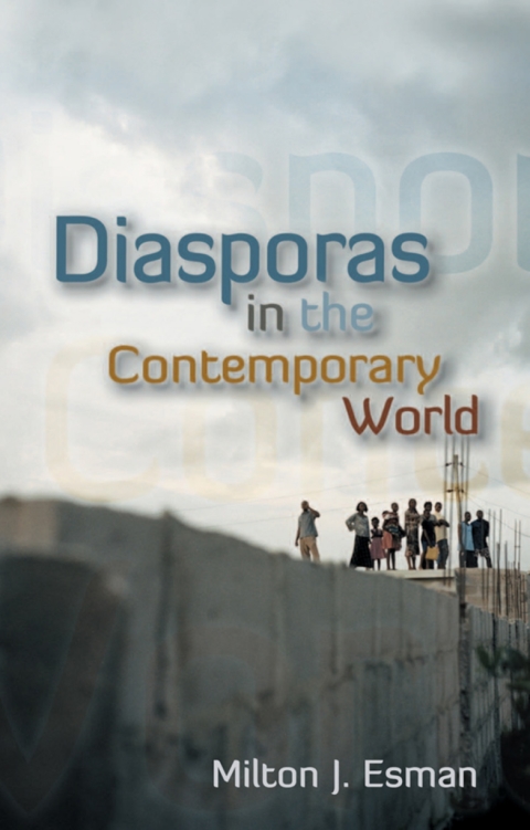 Cover image for book Diasporas in the Contemporary World
