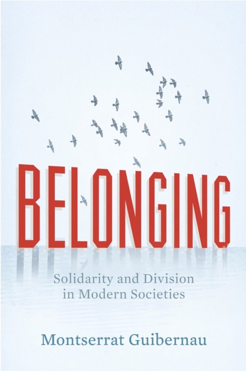 Cover image for book Belonging: Solidarity and Division in Modern Societies