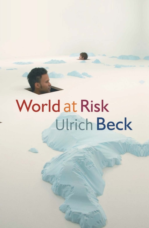 Cover image for book World at Risk