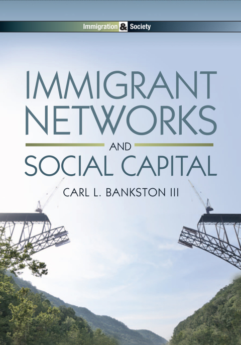 Cover image for book Immigrant Networks and Social Capital