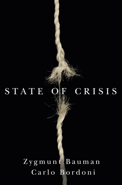 Cover image for book State of Crisis