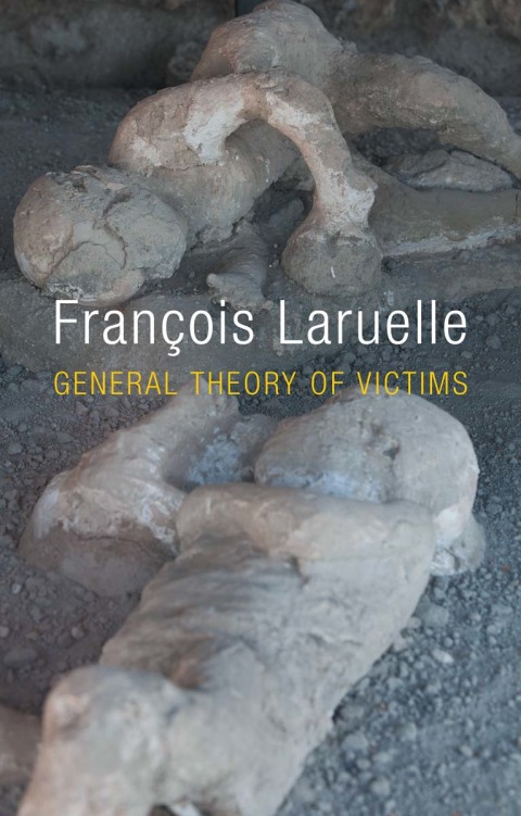 Cover image for book General Theory of Victims