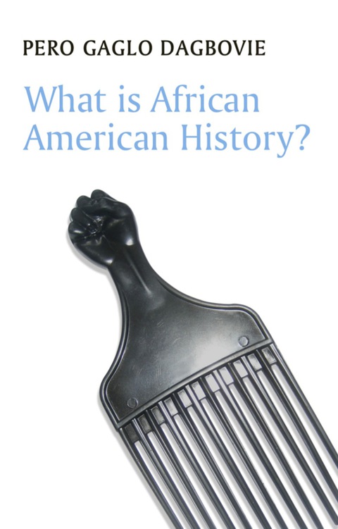 Cover image for book What is African American History?