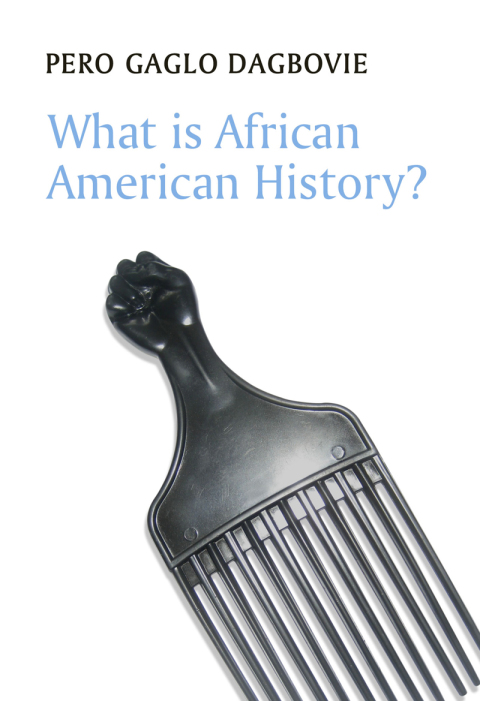 Cover image for book What is African American History?