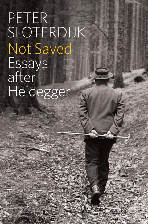 Cover image for book Not Saved: Essays After Heidegger