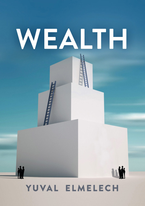 Cover image for book Wealth