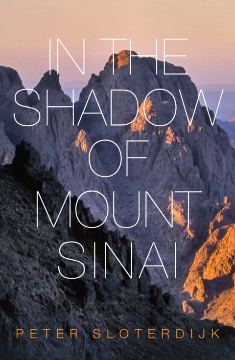 Cover image for book In The Shadow of Mount Sinai
