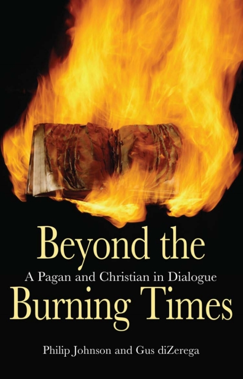 Cover image for book Beyond the Burning Times
