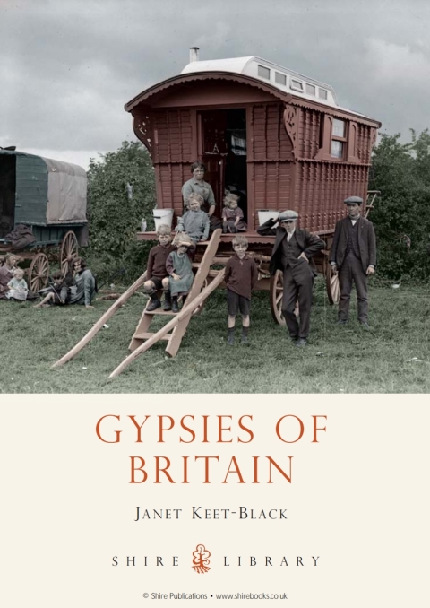 Cover image for book Gypsies of Britain