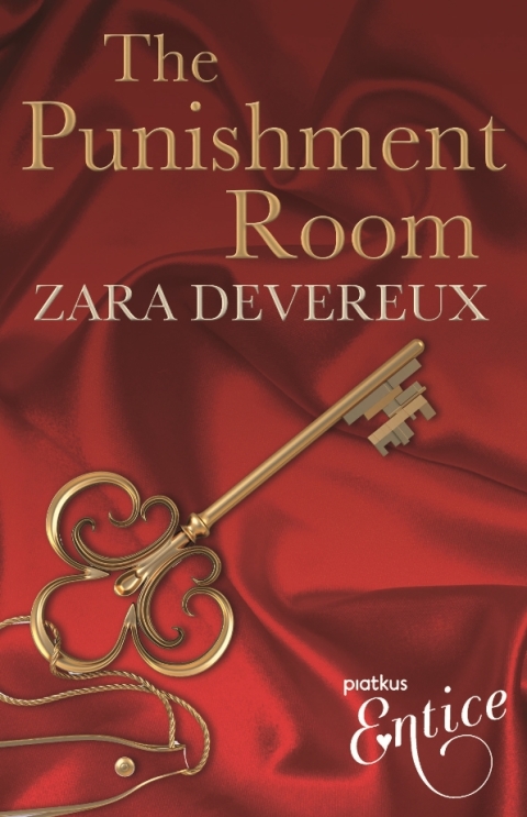 Cover image for book The Punishment Room