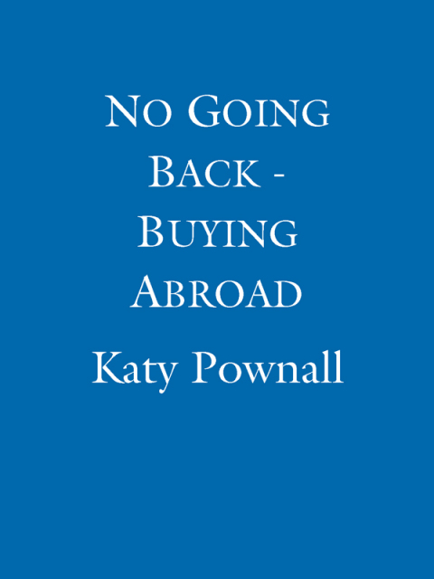 Cover image for book No Going Back - Buying Abroad