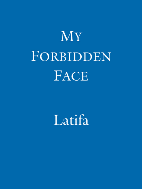Cover image for book My Forbidden Face
