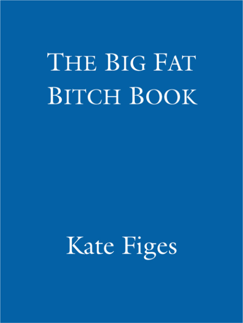 Cover image for book The Big Fat Bitch Book