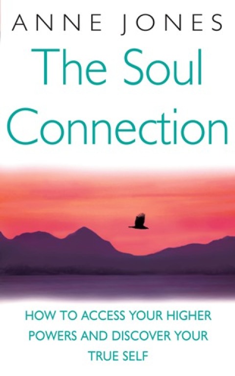Cover image for book The Soul Connection