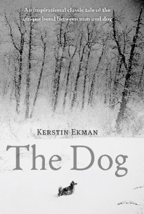 Cover image for book The Dog