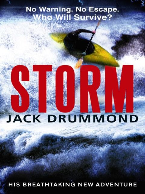 Cover image for book Storm