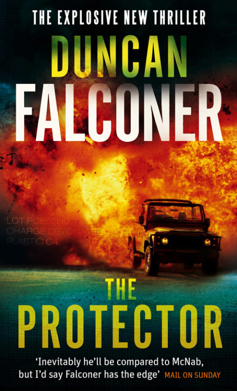 Cover image for book The Protector