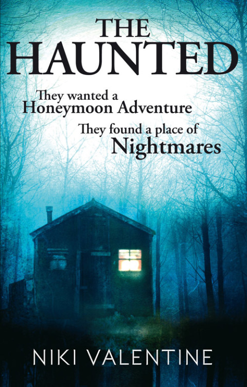 Cover image for book The Haunted