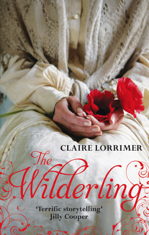 Cover image for book The Wilderling