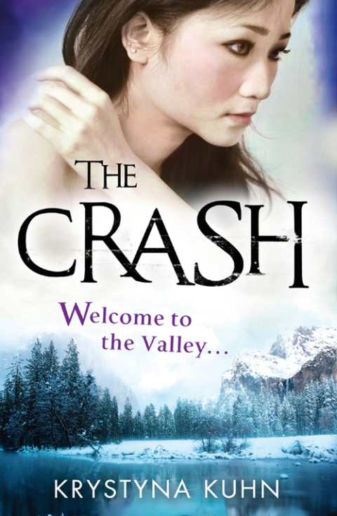 Cover image for book The Crash