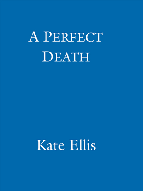 Cover image for book A Perfect Death