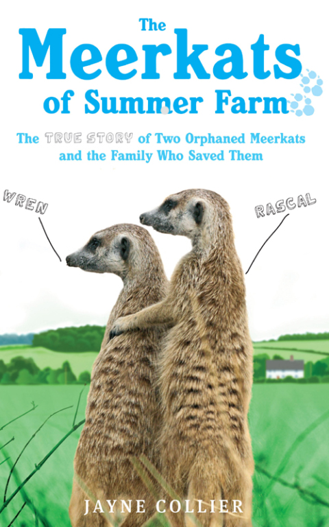 Cover image for book The Meerkats Of Summer Farm